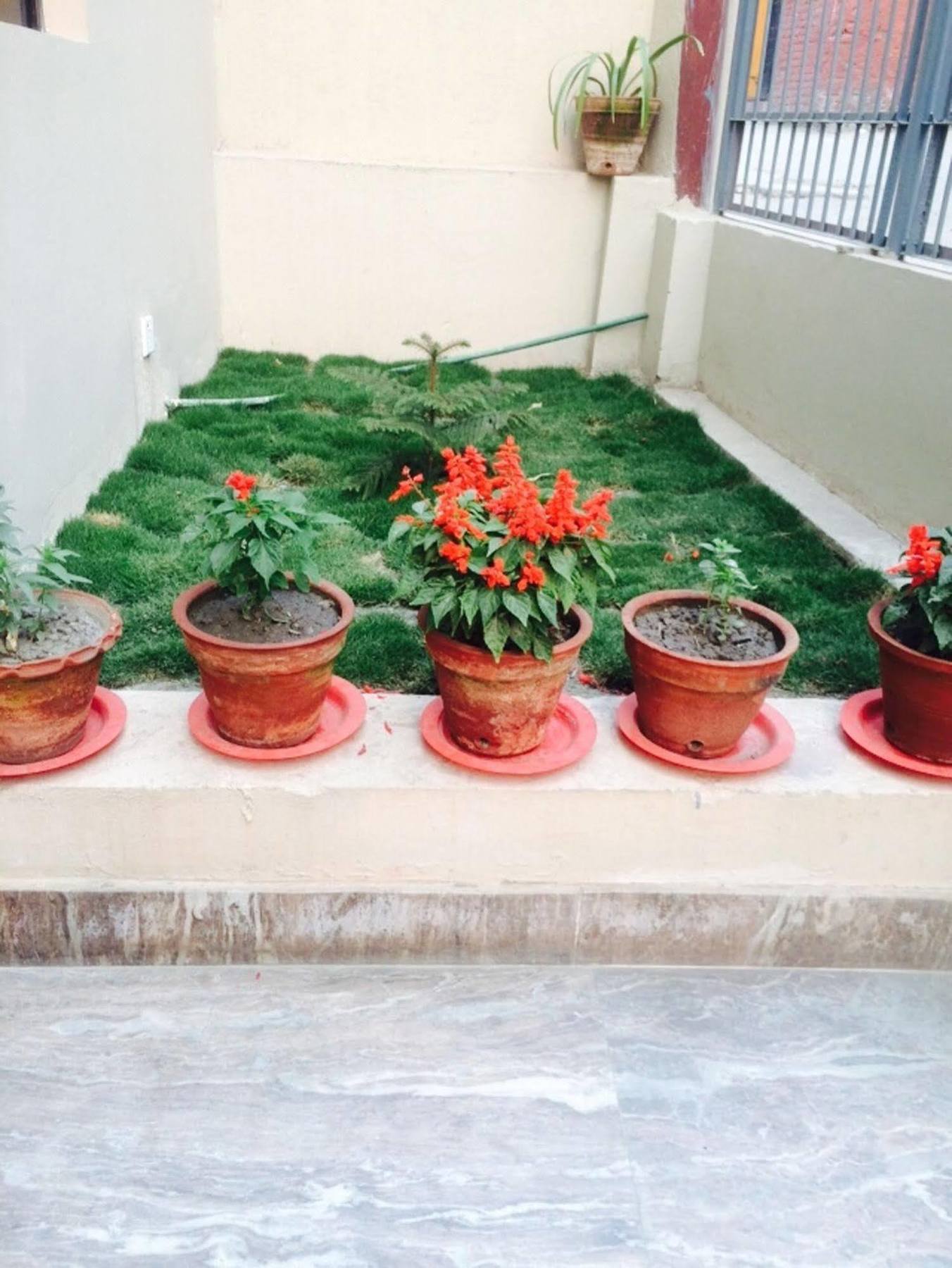 Kathmandu Sunny Hotel Buitenkant foto
